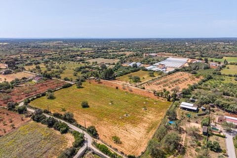 Landejendom i Llucmajor, Mallorca, Llucmajor - € 399.900 | Ref: 13ARJS042/3010 - foto 20