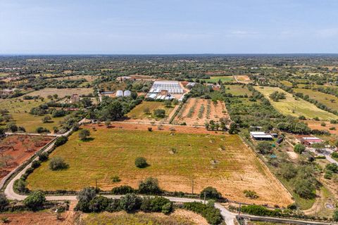 Landejendom i Llucmajor, Mallorca, Llucmajor - € 399.900 | Ref: 13ARJS042/3010 - foto 21