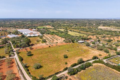 Landejendom i Llucmajor, Mallorca, Llucmajor - € 399.900 | Ref: 13ARJS042/3010 - foto 22