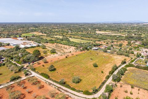 Landejendom i Llucmajor, Mallorca, Llucmajor - € 399.900 | Ref: 13ARJS042/3010 - foto 23