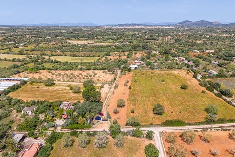 Landejendom i Llucmajor, Mallorca, Llucmajor - € 399.900 | Ref: 13ARJS042/3010 - foto 24
