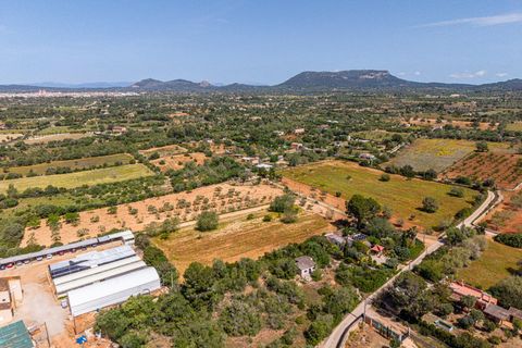 Landejendom i Llucmajor, Mallorca, Llucmajor - € 399.900 | Ref: 13ARJS042/3010 - foto 25