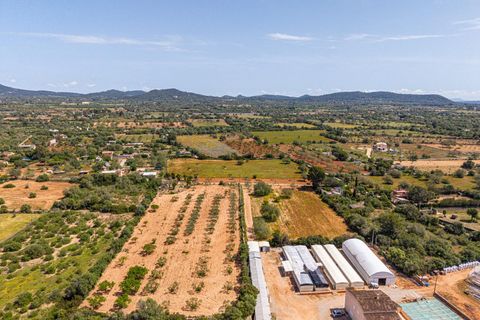 Landejendom i Llucmajor, Mallorca, Llucmajor - € 399.900 | Ref: 13ARJS042/3010 - foto 26