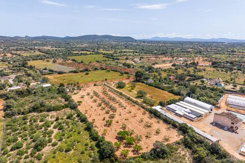 Landejendom i Llucmajor, Mallorca, Llucmajor - € 399.900 | Ref: 13ARJS042/3010 - foto 27