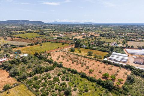Landejendom i Llucmajor, Mallorca, Llucmajor - € 399.900 | Ref: 13ARJS042/3010 - foto 28