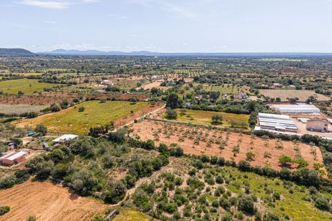 Landejendom i Llucmajor, Mallorca, Llucmajor - € 399.900 | Ref: 13ARJS042/3010 - foto 29