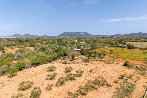 Landejendom i Llucmajor, Mallorca, Llucmajor - € 399.900 | Ref: 13ARJS042/3010 - foto 30