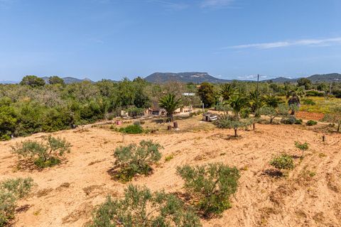 Landejendom i Llucmajor, Mallorca, Llucmajor - € 399.900 | Ref: 13ARJS042/3010 - foto 31