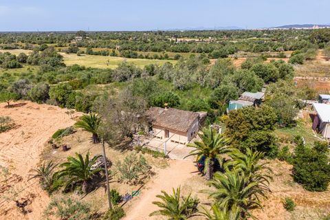 Landejendom i Llucmajor, Mallorca, Llucmajor - € 399.900 | Ref: 13ARJS042/3010 - foto 32