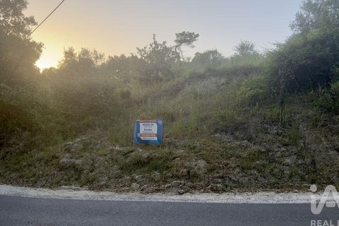 Terra a Santarem, Santarem, Santarem - € 25.000 | Ref: 931000 - foto 2