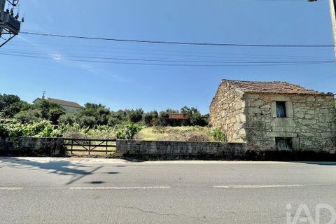 Terra a Mangualde, Viseu, Mangualde - € 29.500 | Ref: 933314 - foto 2