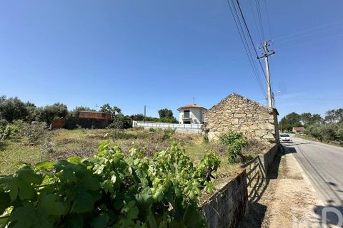 Terra a Mangualde, Viseu, Mangualde - € 29.500 | Ref: 933314 - foto 3