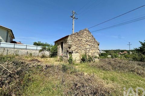 Terra a Mangualde, Viseu, Mangualde - € 29.500 | Ref: 933314 - foto 4