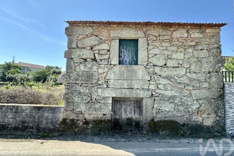 Terra a Mangualde, Viseu, Mangualde - € 29.500 | Ref: 933314 - foto 6