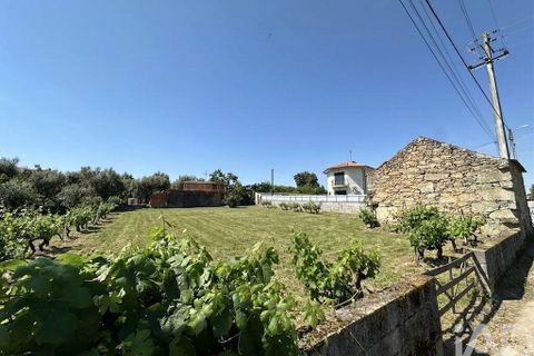 Terra a Mangualde, Viseu, Mangualde - € 29.500 | Ref: 933314 - foto 7