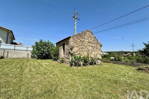 Terra a Mangualde, Viseu, Mangualde - € 29.500 | Ref: 933314 - foto 8