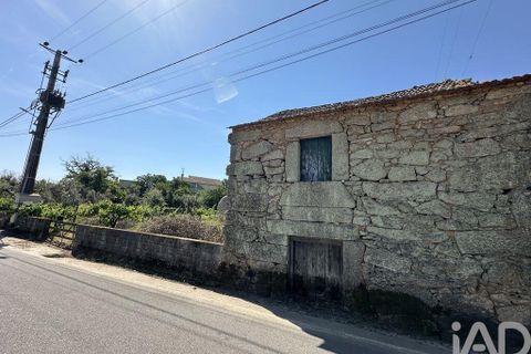Terra a Mangualde, Viseu, Mangualde - € 29.500 | Ref: 933314 - foto 9