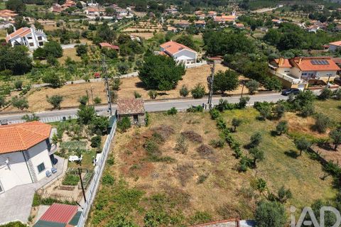 Terra a Mangualde, Viseu, Mangualde - € 29.500 | Ref: 933314 - foto 11