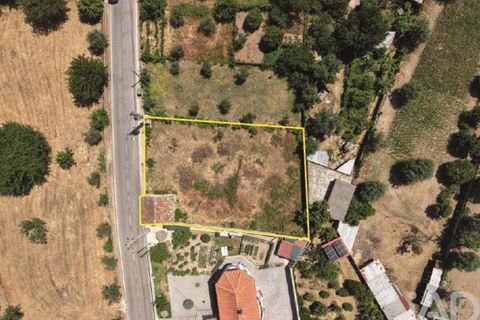Terra a Mangualde, Viseu, Mangualde - € 29.500 | Ref: 933314 - foto 12