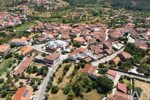 Terra a Mangualde, Viseu, Mangualde - € 29.500 | Ref: 933314 - foto 13
