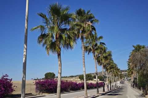 Villa en Algorfa, Alicante, Algorfa - € 449.995 | Ref: CSPX-38510 - photo 31