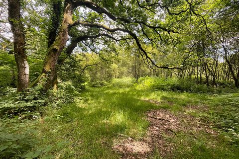 Villa i Callac, Cotes-d'Armor, Callac - € 299.995 | Ref: KT-5159 - foto 5