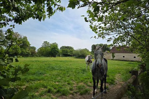 Villa a Villemort, Vienne, Villemort - € 345.000 | Ref: KV-5118 - foto 17