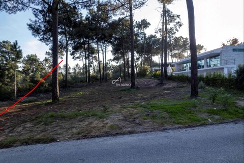 Helårsgrund i Almada, Setubal, Almada - € 1.300.000 | Ref: TAPT01-1810_CH - foto 3