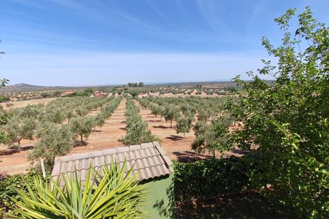 Villa i Guarena, Badajoz, Guarena - € 210 000 | Ref: 14206-MVR/2912 - foto 29