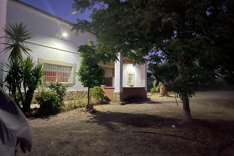 Villa i Guarena, Badajoz, Guarena - € 210 000 | Ref: 14206-MVR/2912 - foto 37
