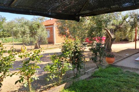 Villa i Don Benito, Badajoz, Don Benito - € 160.000 | Ref: 14207-MVR/2912 - foto 11