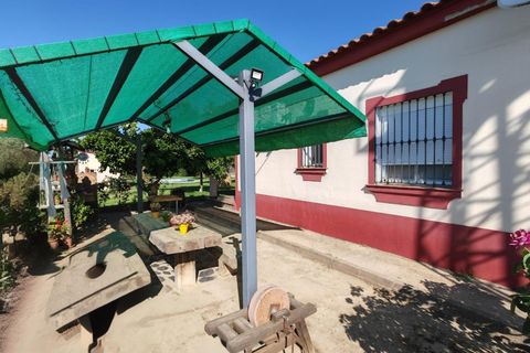 Villa i Don Benito, Badajoz, Don Benito - € 160.000 | Ref: 14207-MVR/2912 - foto 24