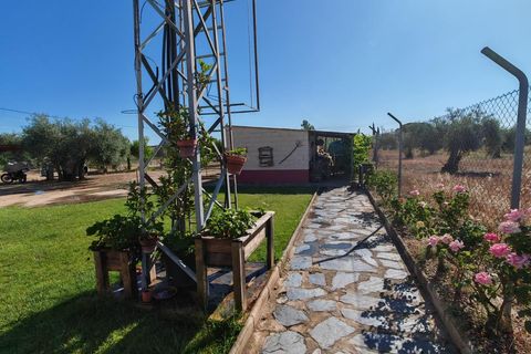 Villa i Don Benito, Badajoz, Don Benito - € 160.000 | Ref: 14207-MVR/2912 - foto 25