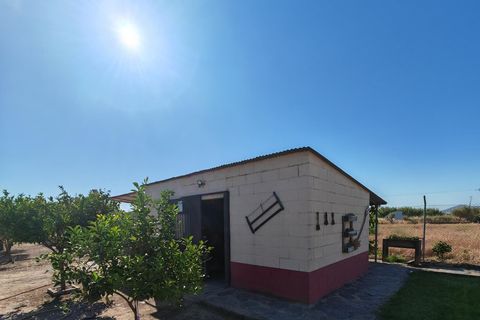 Villa i Don Benito, Badajoz, Don Benito - € 160.000 | Ref: 14207-MVR/2912 - foto 26