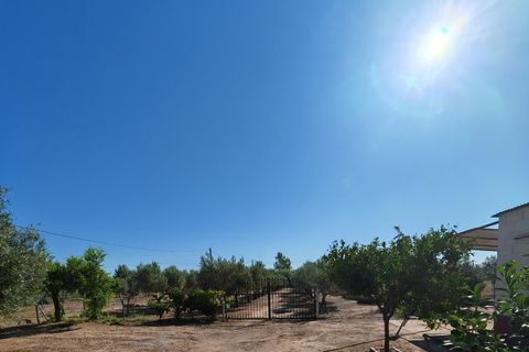 Villa i Don Benito, Badajoz, Don Benito - € 160.000 | Ref: 14207-MVR/2912 - foto 27