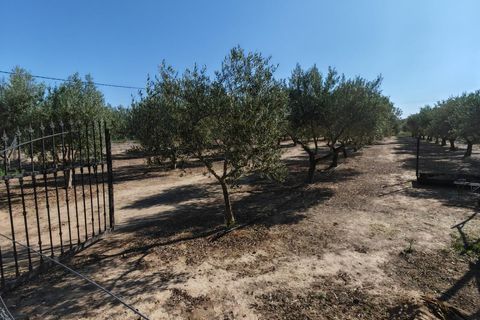 Villa i Don Benito, Badajoz, Don Benito - € 160.000 | Ref: 14207-MVR/2912 - foto 28