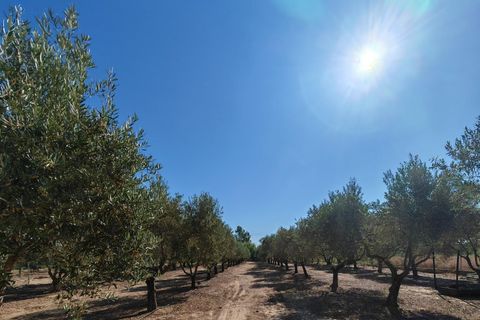 Villa i Don Benito, Badajoz, Don Benito - € 160.000 | Ref: 14207-MVR/2912 - foto 29