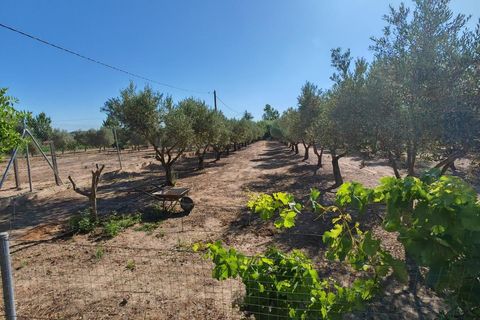 Villa i Don Benito, Badajoz, Don Benito - € 160.000 | Ref: 14207-MVR/2912 - foto 30