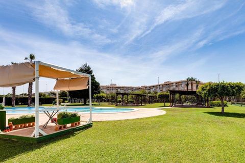 Bungalou a Torrevieja, Alicante, Torrevieja - € 175.000 | Ref: AG19MLSC4261706 - foto 34