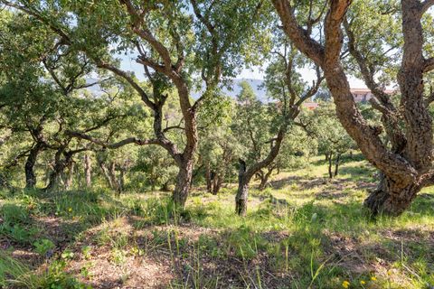 Helårsgrund i Calonge, Gerona, Calonge - € 138.000 | Ref: 3053/12898 - foto 10