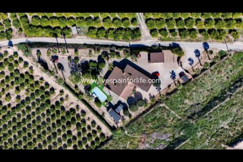Landejendom i Jacarilla, Alicante, Jacarilla - € 559.000 | Ref: Jac RK - foto 34