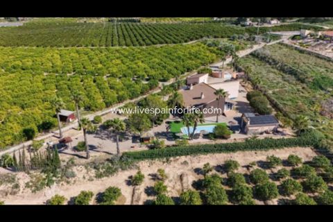 Landejendom i Jacarilla, Alicante, Jacarilla - € 559.000 | Ref: Jac RK - foto 35