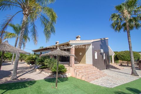 Landejendom i Jacarilla, Alicante, Jacarilla - € 559.000 | Ref: Jac RK - foto 8