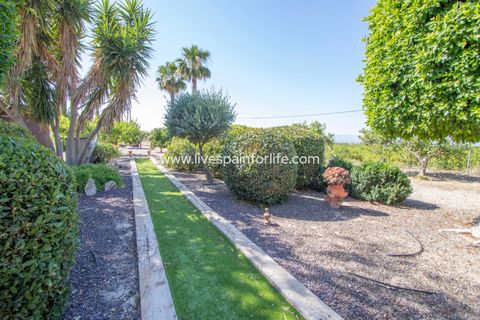 Landejendom i Jacarilla, Alicante, Jacarilla - € 559.000 | Ref: Jac RK - foto 9