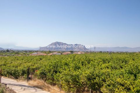 Landejendom i Jacarilla, Alicante, Jacarilla - € 559.000 | Ref: Jac RK - foto 14