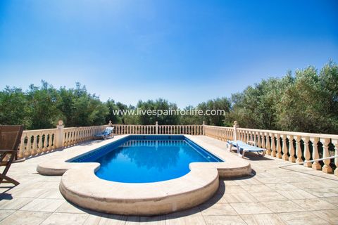 Landejendom i Dolores, Alicante, Dolores - € 495.000 | Ref: DOL BH-D - foto 4