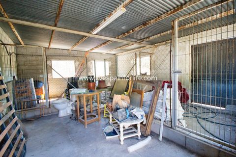 Landejendom i Dolores, Alicante, Dolores - € 495.000 | Ref: DOL BH-D - foto 30