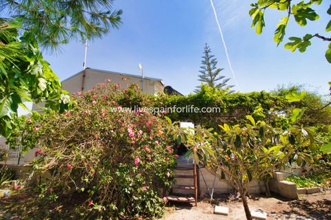 Landejendom i Dolores, Alicante, Dolores - € 495.000 | Ref: DOL BH-D - foto 31