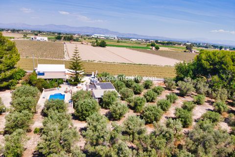 Landejendom i Dolores, Alicante, Dolores - € 495.000 | Ref: DOL BH-D - foto 35