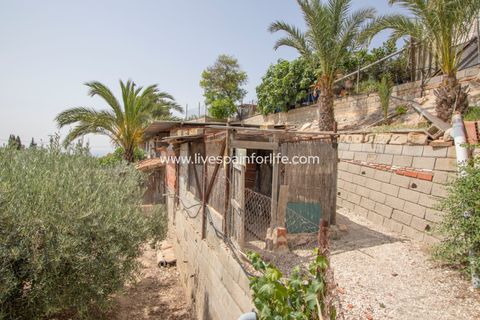 Landejendom i Albatera, Alicante, Albatera - € 260.000 | Ref: ALBA SCL-D - foto 11